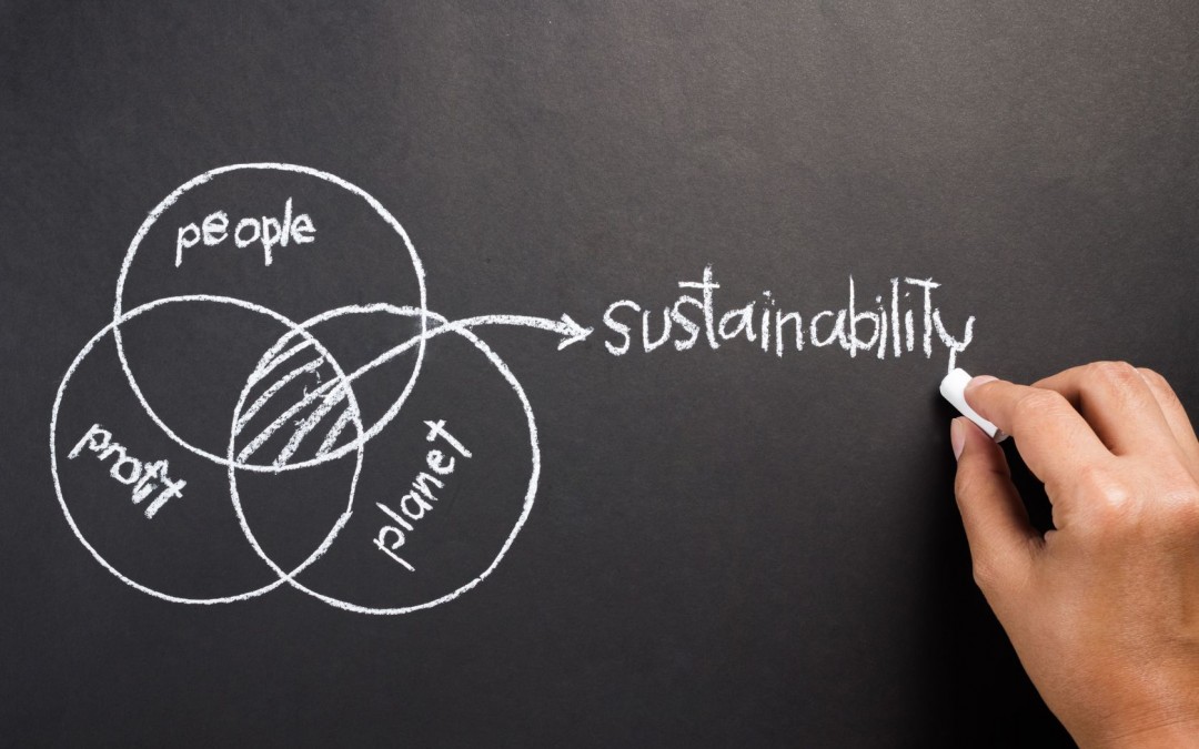 Looking beyond the bottom line